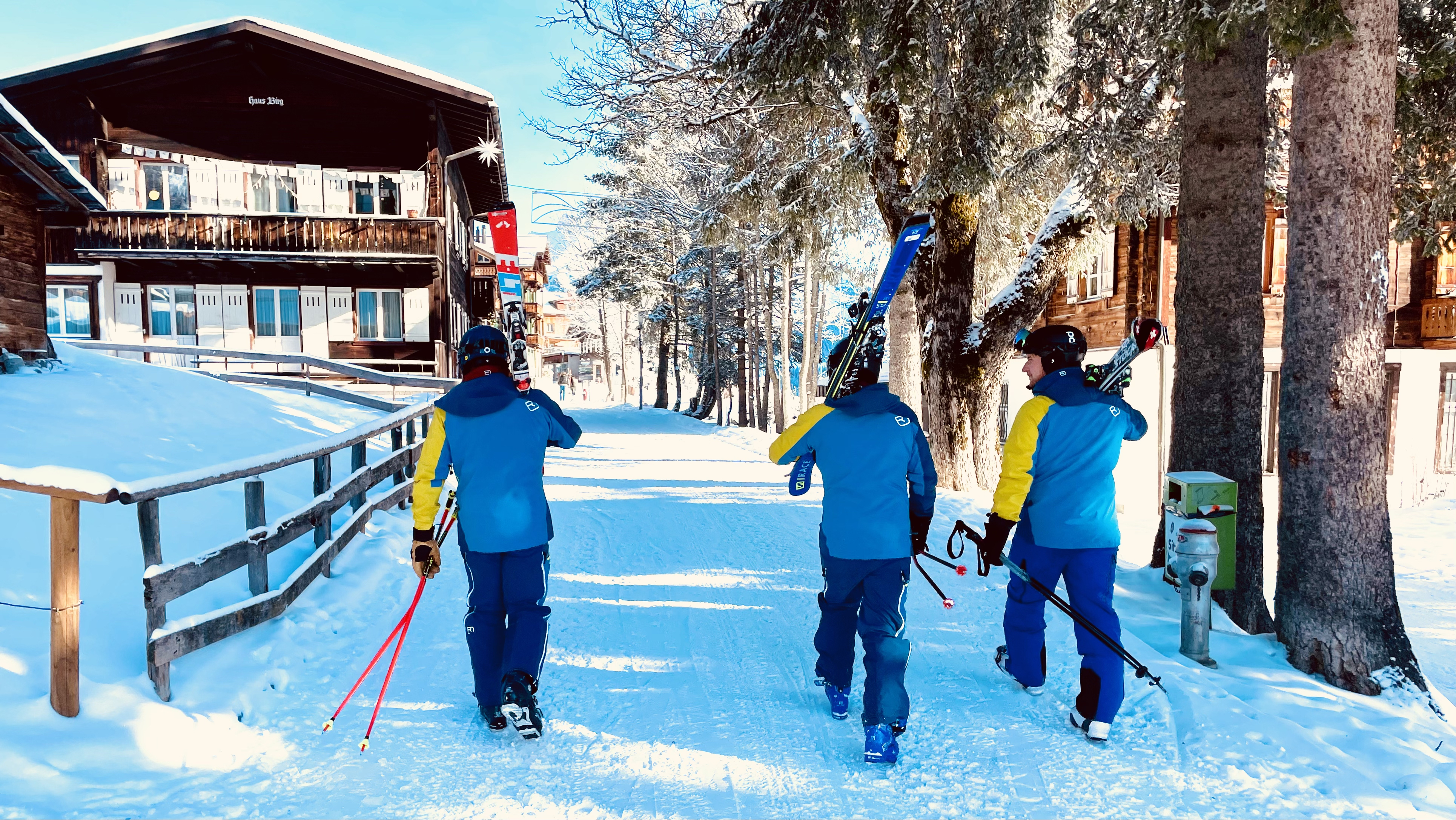 ski racing 3